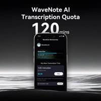 120 Minutes Transcription Quota